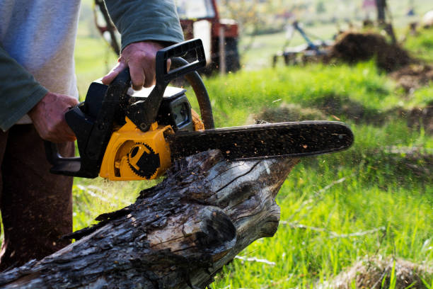 Best Firewood Processing and Delivery  in Deer Park, OH